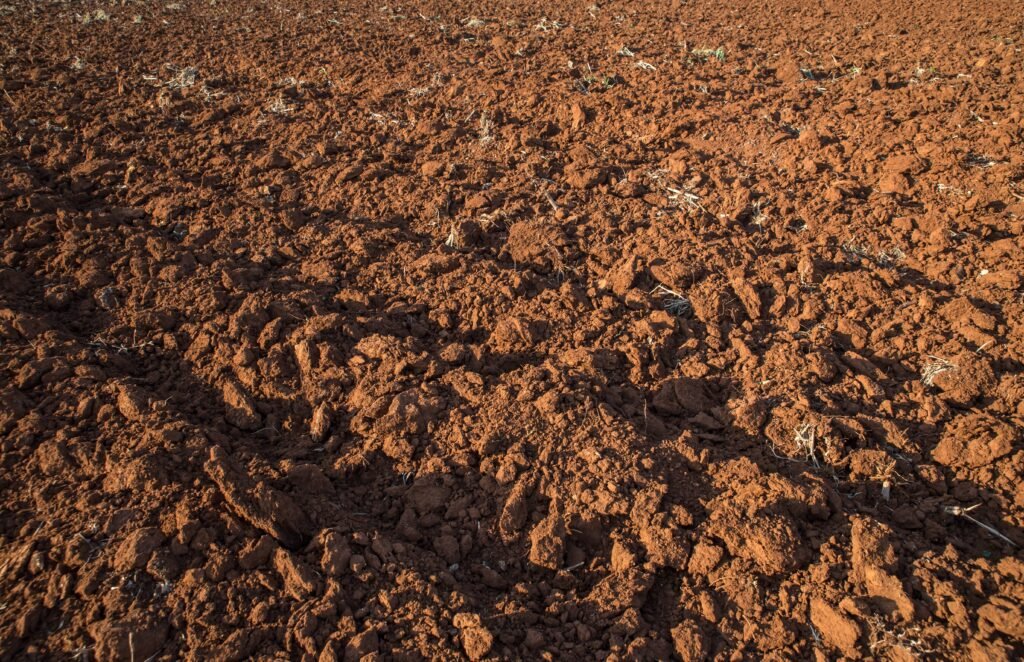 Schamanische Heilerausbildung Erde